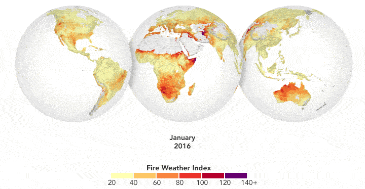 GFWED’s calculated fire danger around the world from 2016 to 2017.