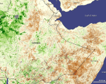 Drought in Ethiopia in 2008, seen from Space by SPOT Vegetation satellite
