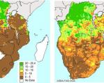 satellite images help to predict drought and crop yield