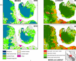 Different spatial resolution of MODIS compared to Landsat. 