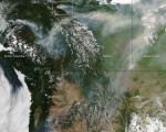 The image captured by MODIS shows dozens of wildfires in Canada 