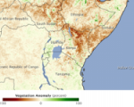 Kenya vegetation anomaly during 2011 drought (Image: NASA/ J. Allen)