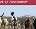 FAO Report. Image: FAO