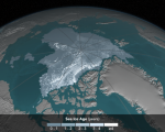 Arctic sea ice by 2016. Image: Courtesy of NASA