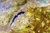 Lake Kariba in Zimbabwe, image courtesy of ESA