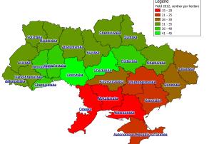 NASU-NSAU forecasts winter wheat yield in Ukraine for 2012