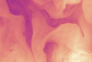 Surface temperatures of the Gulf Stream