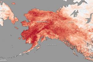 Temperature anomalies in Alaska in January 2014
