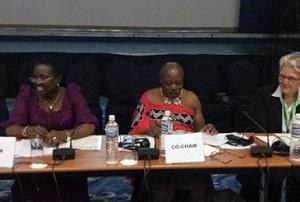 Africa is the first region in the world to agree on recommendations for DRR