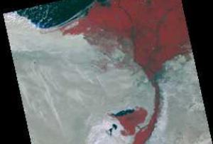 Image of Egypt acquired by UK-DMC2