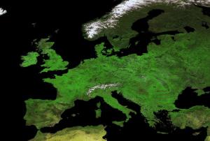 300 m synthesis image composed from observations taken in May 2014