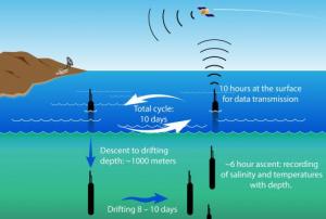 Argo 10-day ocean observation cycle (Image: Argo). 