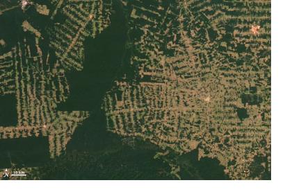 Satellite image of deforestation in Brazil
