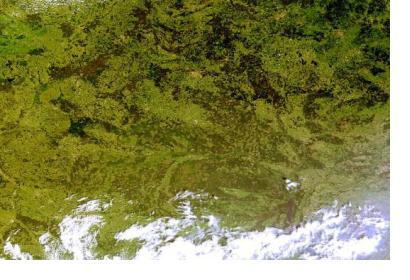 Belarus satellite image (Image: NASA)