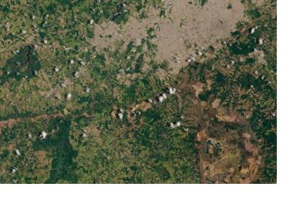 Image of the tailings dam flood on 30 January acquired by Operational Land Imager (OLI) on Landsat 8. Image: NASA. 