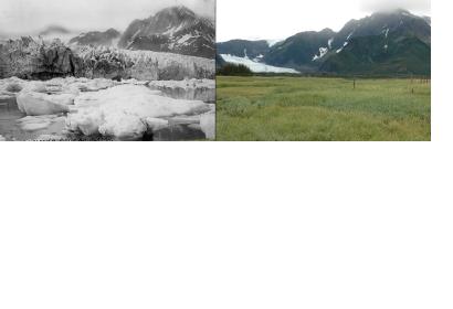 Pedersen Glacier 1917 and 2005