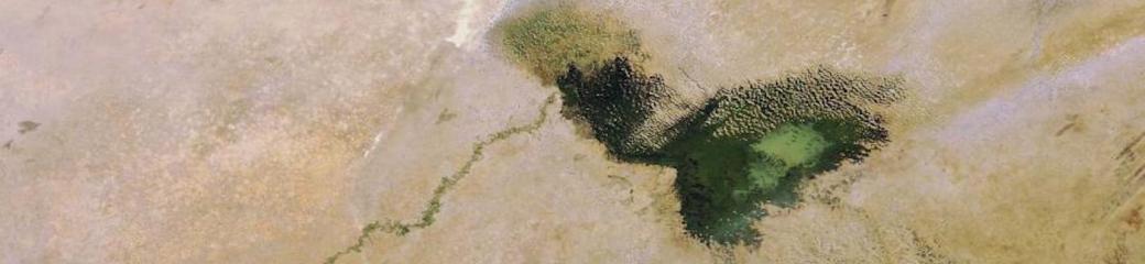 Lake Chad has shrunk dramatically over the last four decades due to a decrease in rainfall and an increase in the amount of water used for irrigation projects. Its surface area was 25 000 sq km in the early 1960s, compared with 1350 sq km in 2001. Image acquired 19 December 2007 by the MERIS (Medium Resolution Imaging Spectrometer) instrument aboard ESA’s Envisat satellite. Image: ESA, CC BY-SA 3.0 IGO.